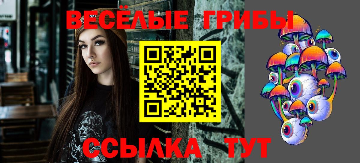 Семёнов  Галлюциногенные грибы Psilocybe  Вход с VPN 